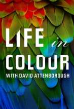 Attenborough's Life in Colour