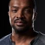 Roger Cross is Travis Verta