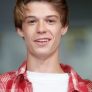 Colin Ford is Josh Wheeler