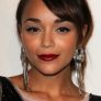 Ashley Madekwe is Lisa Guillroy