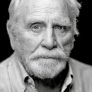 James Cosmo is Harry Woods