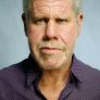 Ron Perlman is Bular (voice)