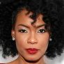 Aunjanue Ellis-Taylor is Sharonne Salaam