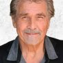 James Brolin is Narrator (voice)