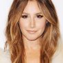 Ashley Tisdale is Stealth Elf (voice)