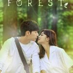 Forest 1. Sezon 31. Bölüm