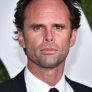 Walton Goggins is Jay Whittle / The Hero