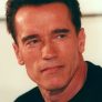 Arnold Schwarzenegger is Self