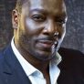 Adewale Akinnuoye-Agbaje is Captain Vervain (voice)